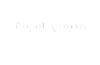 Seddiqi Holding